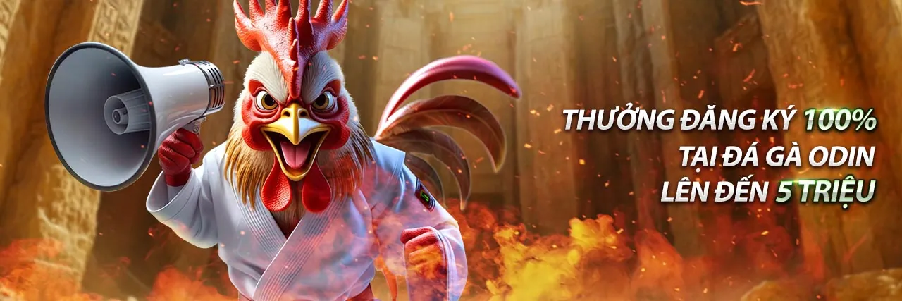 Đá gà trực tiếp hôm nay Campuchia 2026 - Nơi cá cược đỉnh cao