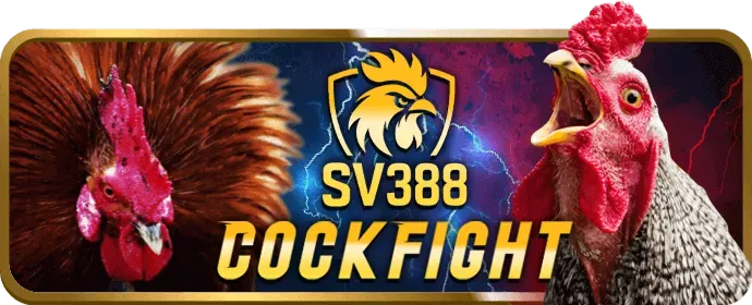 Ưu đãi độc quyền 98 win
