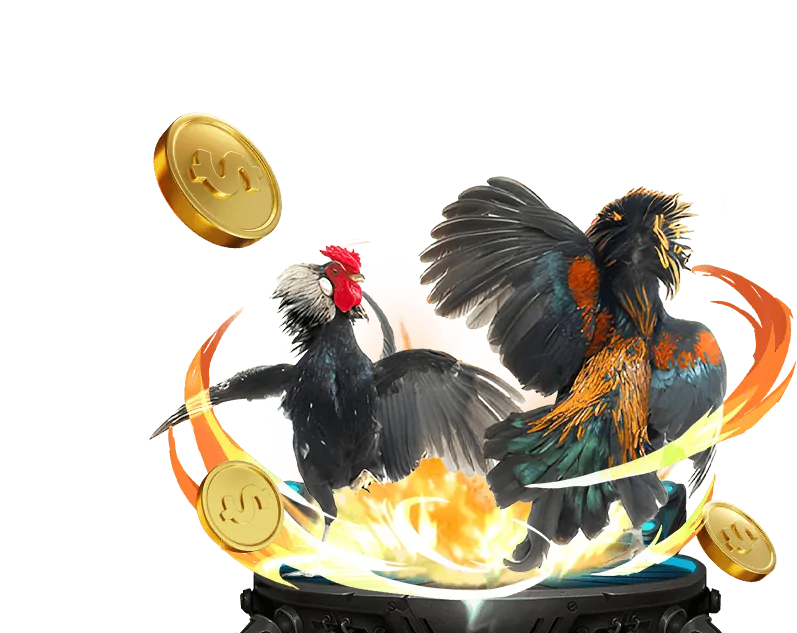 Đá Gà Trực Tiếp Campuchia