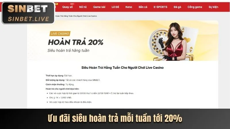 Hoàn trả cược thua 98 win